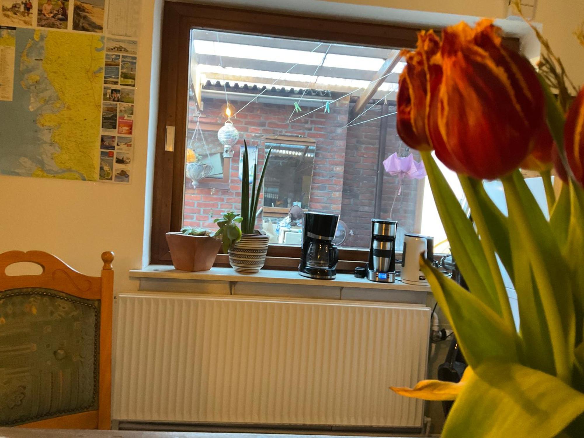 Privartzimmer 'ausfahrt Freihalten' Husum (Schleswig-Holstein)