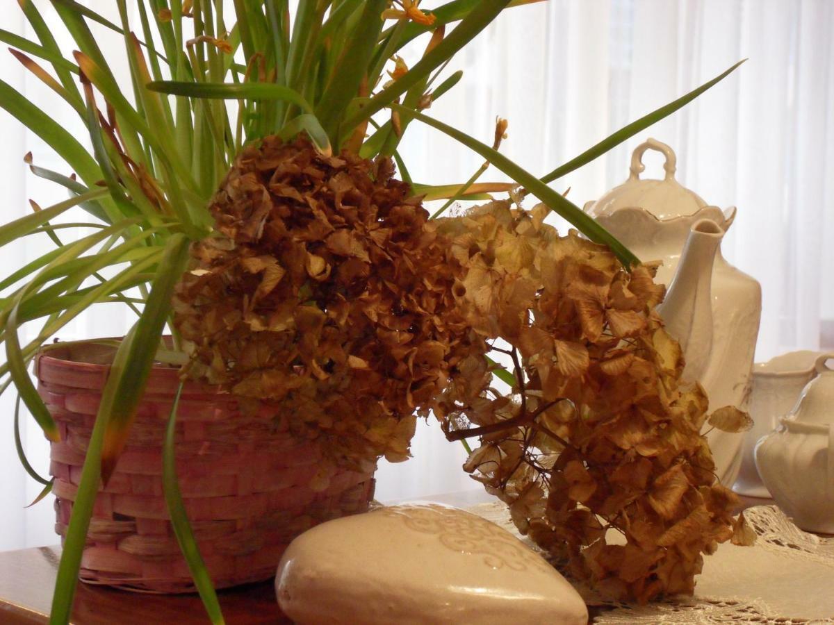 Privartzimmer 'ausfahrt Freihalten' Homestay *